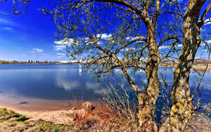 Fond de ecran Lac Atractiv în Natură