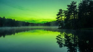 Un lac liniștit reflectă un cer verde vibrant, încadrat de pini și ceață. — Cer verde Fundal