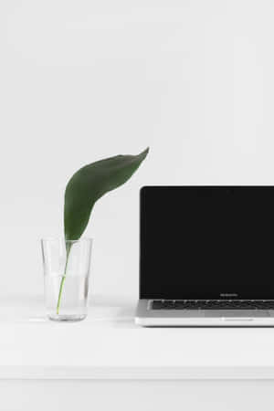 Computer Background — Honor Pad GT2 Pro Fundal