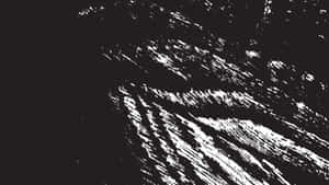 Legendă: Un Peisaj Monocrom Fascinant