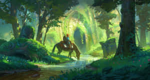 Link, Eroul din Hyrule în The Legend of Zelda