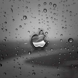 iPad întunecat și drăguț — iPad drăgut Fundal