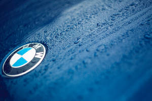 Tapet close-up cu logo BMW pe mașină albastră cu picături