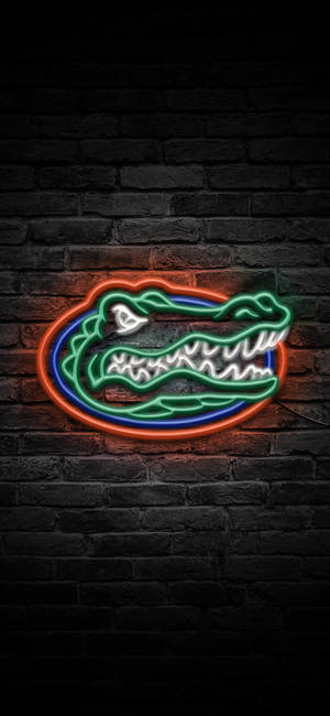 Tapetă Logo Florida Gators în Lumini Neon — iPhone 11 Pro Fundal