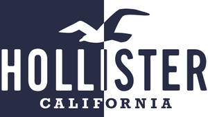 Logo Hollister în Două Tonuri wallpaper — Chromebook Fundal