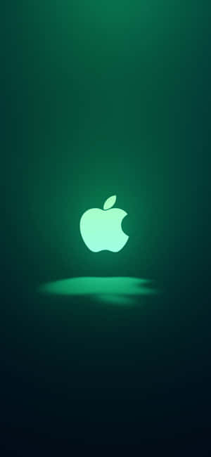 iPhone 11 Verde — iPhone 13 Pro Max Fundal