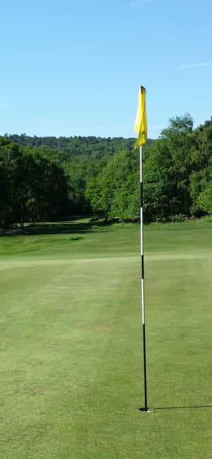 Iphone X Teren de Golf Fundal — Nothing Phone (4b) Fundal