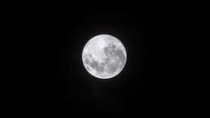 imagini cu luna plină — Lună Noapte Cer Fundal