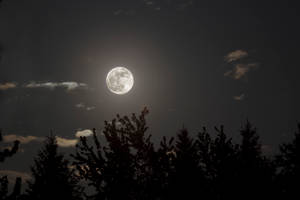 Lună Estetică În Noapte Tăcută — Lună Noapte Cer Fundal
