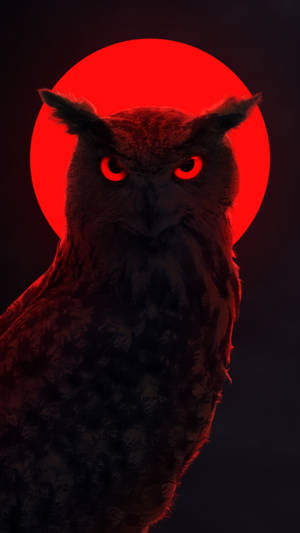 Bufniță Roșie Lună Neon wallpaper — Neon lună Fundal