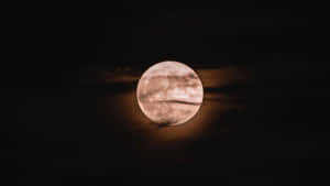 imagini cu luna plină — Lună Noapte Cer Fundal