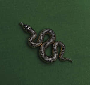 Imagini cu estetica Slytherin