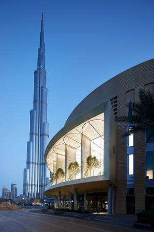 Mall Apple Dubai Shopping Center — Xiaomi Pad 7S Pro 12.5 Fundal