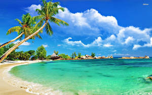 Malul tropical al golfului Montego Bay
