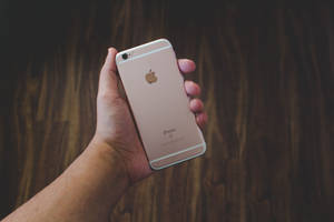 Mână care ține iPhone 6 roz auriu wallpaper — iPhone Se Fundal