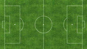 Marcaje albe teren de fotbal wallpaper desktop.