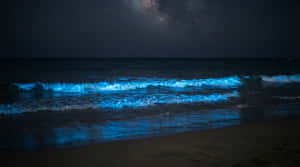 Ocean noaptea 4K, valuri albastre noaptea, fundal ocean noaptea, plajă Calea Lactee, plajă strălucitoare, valuri bioluminescente, Natură 4K, Natură, Plajă, Fundal Mare, Mare