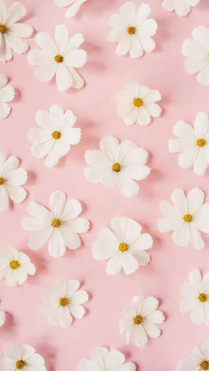 Margarete Albe Flori Roz — Floral iPhone Fundal