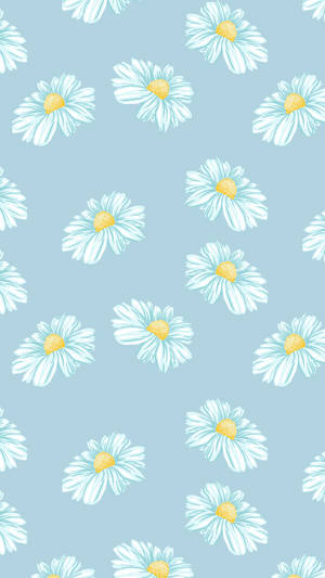 Margarete estetice drăguțe wallpaper — Estetică frumoasă Fundal