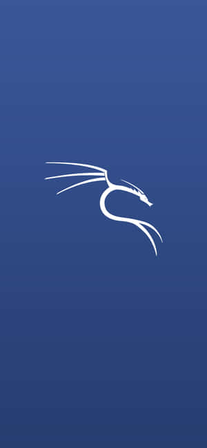 Fundal Kali Linux — OnePlus 15 Fundal
