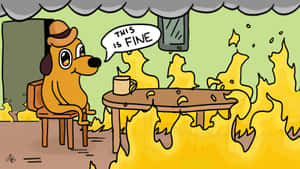 This Is Fine