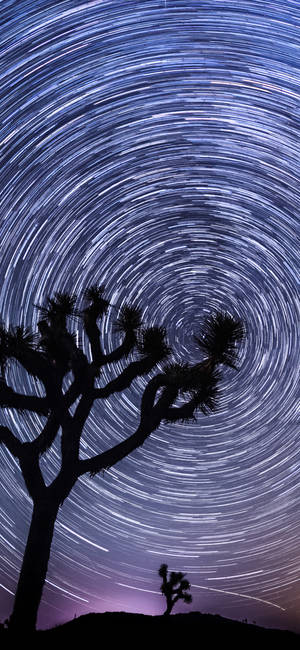 Meteor Fotografie Stoc pentru Xiaomi Redmi Note 9