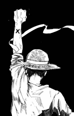 Monkey D Luffy Schiță Spate Artă wallpaper — Moto Pad Fundal