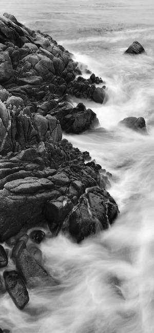 Monocrom Iphone Xs Wallpaper