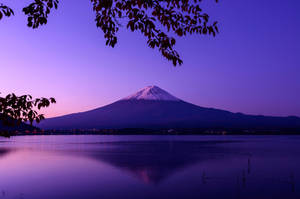 Mont Fuji estetic pentru Chromebook — Mov violet estetic Fundal