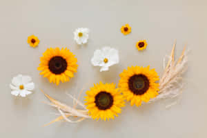 Imagini florale — Floral Fundal