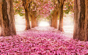 Fundal floral roz