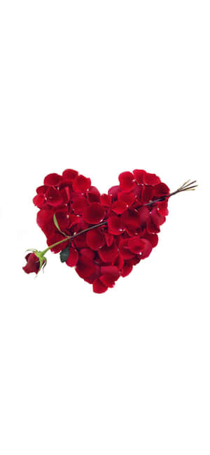 Valentine's Day iPhone — Oppo Find X Fundal