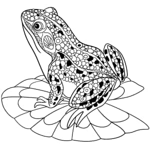 Imagini cu desen de broscuță — iPad Pro M4 Fundal