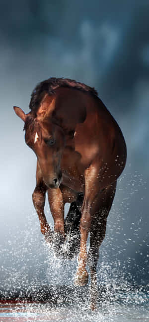 1080x2340 — iPhone 16e Fundal