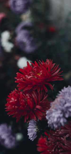 Iphone Flowers — iPhone 15 Pro Max Fundal