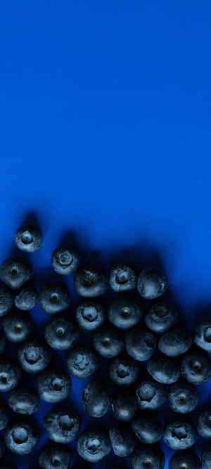 1080x2400 — 1080x2400 Fundal
