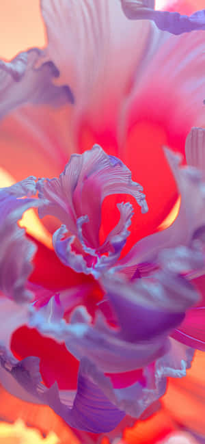 Floare Purpurie Imagini — Honor X5d Plus Fundal