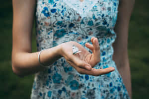 Imagini Estetice cu Fluturi — Fluture estetic Fundal