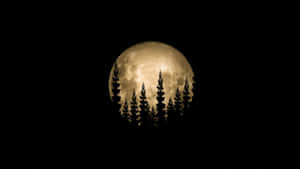 imagini cu luna plina — Lună Noapte Cer Fundal