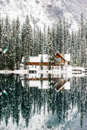 Snow pictures — Huawei MatePad Edge Fundal