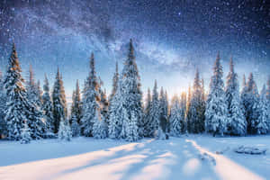 Imagini Snow Aesthetic — Estetică cu zăpadă Fundal