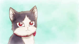 O pisică domestică petrecând timp cu un tânăr într-o cameră — Pisică anime Fundal