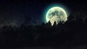 imagini cu luna plina — Lună Noapte Cer Fundal