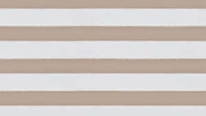 O prezentare elegantă a esteticii beige — Neon estetic Fundal