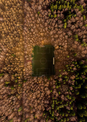 Teren de fotbal înconjurat de copaci vedere aeriană wallpaper.