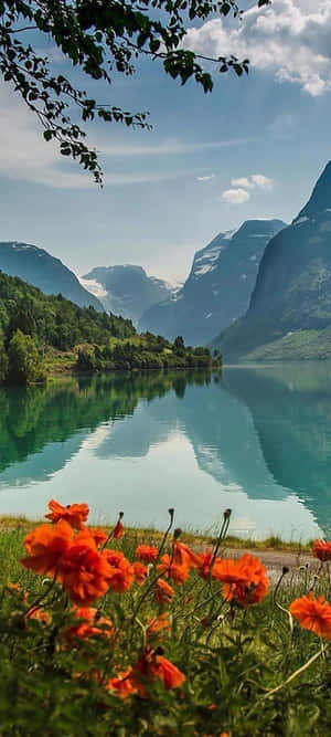 1440x3200 — 1440x3200 Fundal