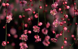Fundal floral roz