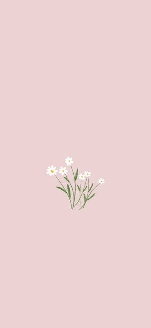 Primăvară Minimalistă — Galaxy A Fundal