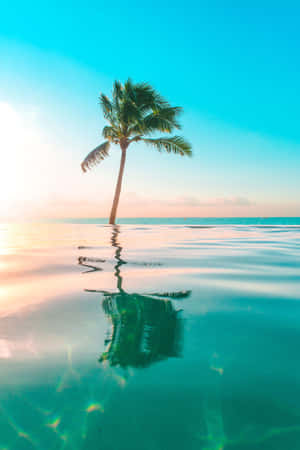 Imagini tropicale — Lenovo Legion Y900 13 Fundal
