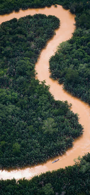 1080x2340 — iPhone 17 Pro Max Fundal